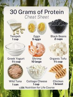 a poster showing the different types of proteins and what they are good for you to eat