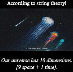 an image of some jellyfish in the water with caption that reads, according to string theory our universe has 10 dimensionss 19 space + time