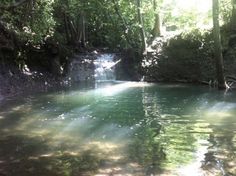 there is a small waterfall in the middle of the water with green algae growing on it