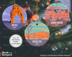 three ornament ornaments hanging from a christmas tree with mountains and trees in the background