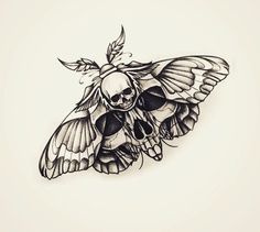 a black and white drawing of a moth with skull on it's back wing