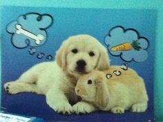 two puppies laying next to each other with thought bubbles above them and carrots on the wall behind them