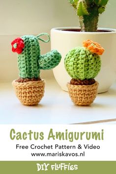 crochet cactus amigurmi free pattern and video