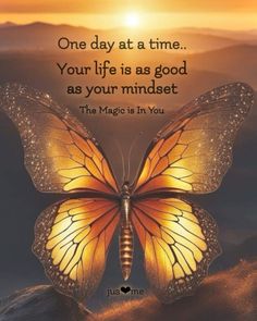 a butterfly with the quote one day at a time your life is as good as your mindset