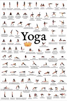 yoga poses and their names are shown in this poster