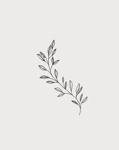 Arte Doodle, Vine Tattoos, Inspiration Tattoos, Plant Tattoo, Dainty Tattoos, Elegant Tattoos, Little Tattoos, Simplistic Tattoos