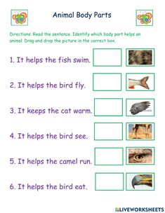 an animal body parts worksheet with pictures and words to help students learn how to read