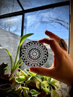 a person holding up a paper doily in front of a window filled with potted plants