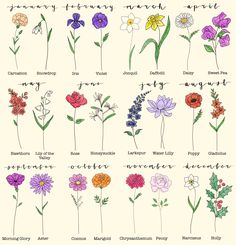 the different types of flowers are shown in this drawing style, and each flower has its own name on it