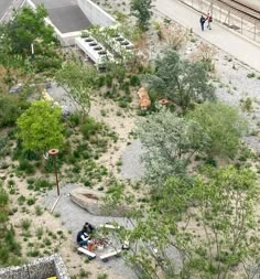 an aerial view of people sitting on benches in the middle of a park with trees