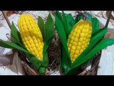 two corn cobs sitting on top of each other