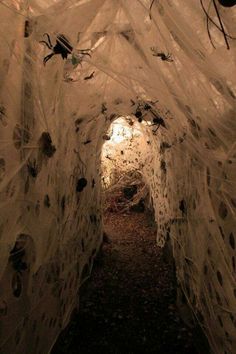 the tunnel is covered with white netting and leaves