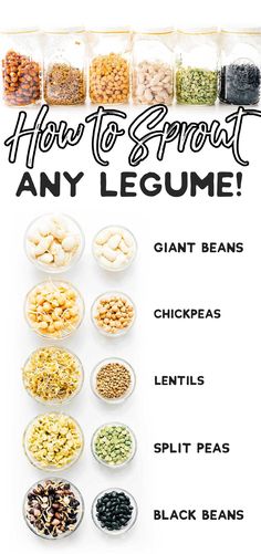 how to sprout any legume