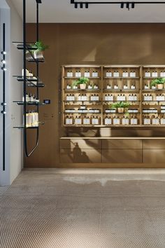 an empty room with shelves and plants on the wall