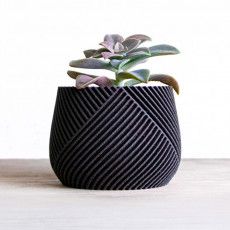 a plant in a black vase sitting on a table