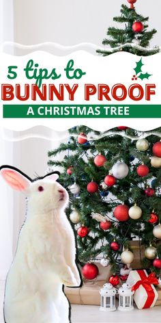 a white bunny sitting in front of a christmas tree with the words 5 tips to bunny proof