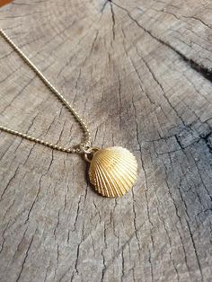 A sea shell necklace made of natural shells casted in brass and plated with quality, nickel free 14k gold plating.The necklace is made of 14k gold filled. Gold Shell-shaped Necklace, Ocean-inspired Gold Shell Charm Necklace, Dainty Gold Shell Charm Necklace, Dainty Gold Shell-shaped Necklace, Gold Ocean-inspired Shell Necklace, Dainty Gold Shell Jewelry, Gold Shell Necklace With Ocean-inspired Style, Ocean-inspired Gold Shell Charm Necklaces, Gold Shell Necklace Ocean-inspired