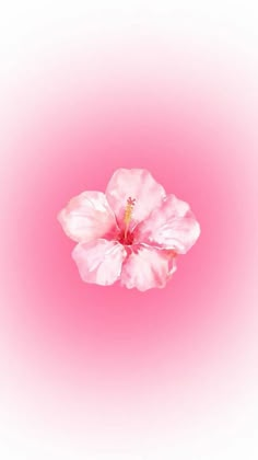 ليلو وستيتش, Pretty Wallpaper Ipad, Cute Images For Wallpaper, Cute Wallpapers For Ipad, Pink Wallpaper Backgrounds, Phone Wallpaper Pink