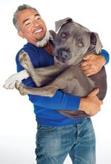 a man holding a dog in his arms and looking at the camera with a smile on his face