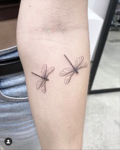 two small dragonflies on the arm