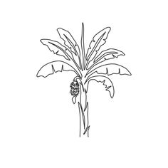 a black and white line drawing of a plant with leaves on it royalty illustration stock images