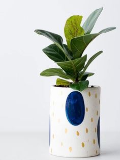 a potted plant sitting on top of a white table next to a green leaf