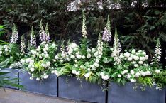 some white flowers and green plants in a planter on the side of a building