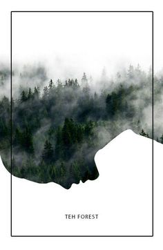 a poster with trees and fog in the background that says,'teh forest '