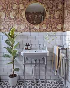 a white sink sitting under a bathroom mirror next to a green plant in a pot