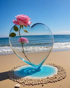 a heart shaped glass vase with a pink rose in it on the sand at the beach