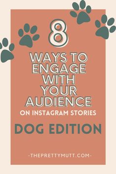 the 8 ways to engage with your audience on instagram stories dogecition com