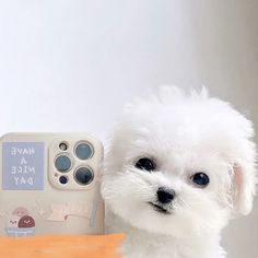 a small white dog sitting next to an iphone