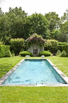 a pool in the middle of a yard with bushes and flowers on either side of it