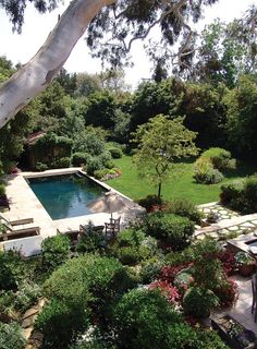 an aerial view of a pool surrounded by greenery and trees in the backyard area