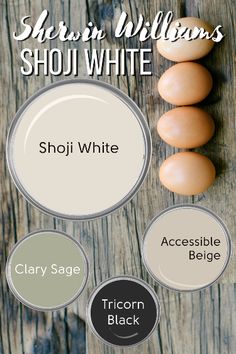 the different shades of paint that are used to create an egg shell and eggshell