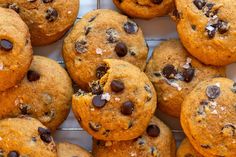 chocolate chip muffins cooling on a wire rack