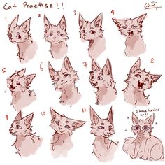 some drawings of cats with different facial expressions