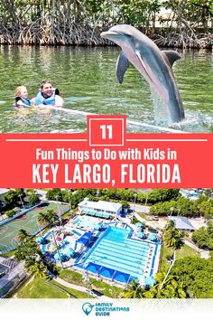 a dolphin jumping out of the water with people swimming in it and text overlay that reads fun things to do with kids in key largo, florida