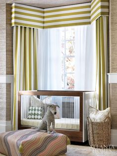 a dog sitting on top of a bed next to a window in a room with striped curtains