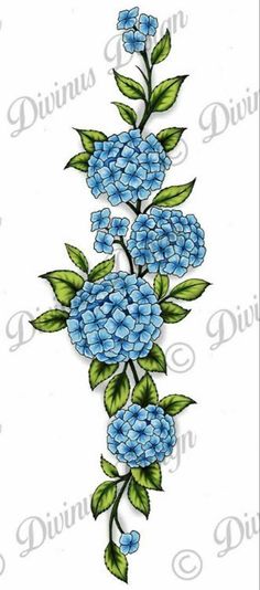 blue flowers and green leaves on a white background