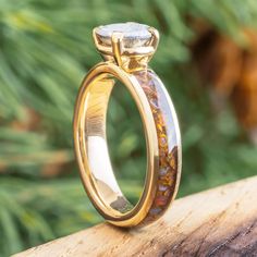 Meteorite and Dinosaur Bone Engagement Ring Fossil Engagement Ring, Dino Ring, Dinosaur Bone Ring, Gold Basket, Bone Ring, Yellow Gold Engagement Ring, Dinosaur Bones, Yellow Gold Engagement, Alternative Engagement Rings