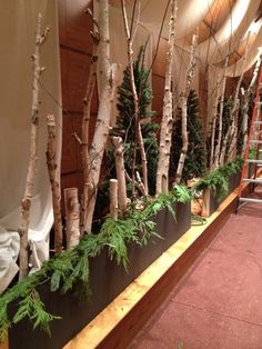 a row of trees sitting next to each other on top of a wooden shelf in front of a wall