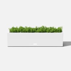 a white planter filled with lots of green plants