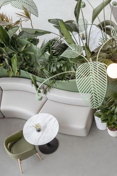 plants and chairs are arranged on the floor