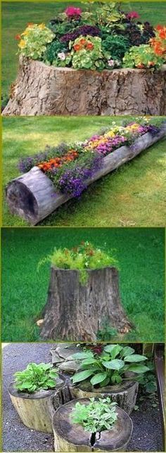 several different types of flowers and trees in various stages of being used as planters