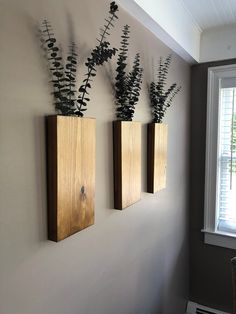 three wooden vases with plants in them hanging on the wall next to a window