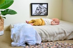 a baby laying on top of a bed next to a potted plant