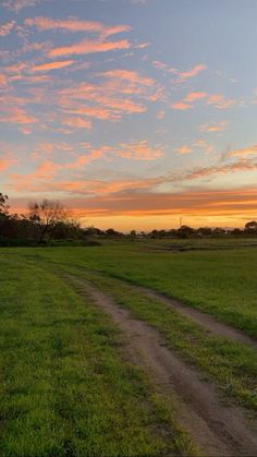 an empty dirt road in the middle of a grassy field