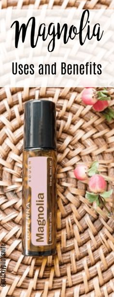 Magnolia Essential Oil - Uses and Benefits - The Prickly Pilot's Wife Magnolia Essential Oil Uses, Magnolia Essential Oil, Pilot Wife, Ginger Oil, Witch Craft, Vanilla Essential Oil, Doterra Oils