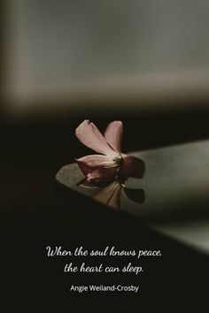 a pink flower sitting on top of a table next to a black and white quote